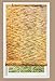 Radiance 0360726 Natural Reed Woven Light Filtering Roll Up Window Blind, 72-Inch Wide by 72-Inch High