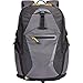 Case Logic Griffith Park Daypack for Laptops and Tablets, Gray