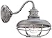Franklin Iron Works Franklin Park Rustic Industrial Farmhouse Vintage Outdoor Barn Light Fixture Galvanized Steel Open Cage 9