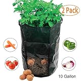 Amgate 2 Pack 10 Gallon Garden Potato Grow Bag Vegetables Growing Planter Tub with Handle Access Flap for Harvesting Vegetables: Potato, Carrot, Tomato, Onion