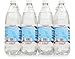 Polar Beverages Seltzer, Toasted Coconut, 33.8 Fluid Ounce (Pack of 12)