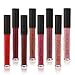 FOCALLURE Matte Lip Gloss Long Lasting Waterproof Moisturizing Lipstick Makeup Cosmetic 15 Types(#1)