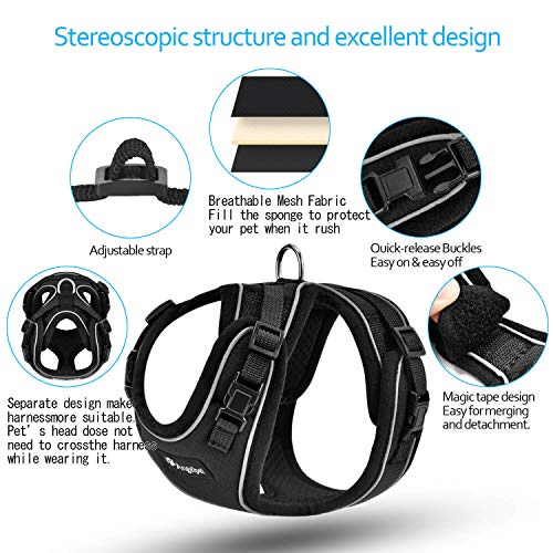 Angelpet Cat Harness and Leash Set for Walking Escape Proof,Kitten