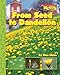 From Seed to Dandelion (Scholastic News Nonfiction Readers: How Things Grow)