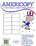 Americopy 10 Up Shipping and Mailing Labels, 4 x 2 inches, 1000 Labels