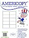 Americopy 10 Up Shipping and Mailing Labels, 4 x 2 inches, 1000 Labels