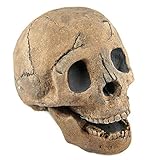 Myard Fireproof Imitated Human Fire Pit Skull Gas Log for NG, LP Wood Fireplace, Firepit, Campfire, Halloween Decor, BBQ (Qty 1, Brown)