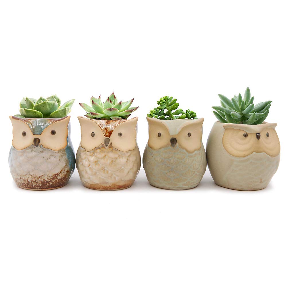 Set of 4 Mini Ceramic Cartoon Owl Pattern Succulent Plant Pot Flower Pot Container Planter Cactus Plant Pot for Garden