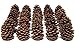 Natural Ponderosa Pine Cones Accent Decorations 3 to 4