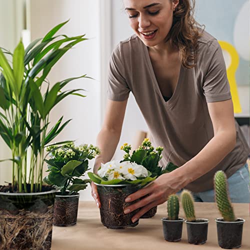 RAOOKIF 25-Pack 6 Inch Clear Nursery Pots - Transparent Plastic Plant Pots With Drainage Holes