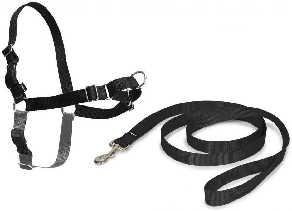 Pet Safe Easy Walk Dog Harness, Large, Black - Image 4