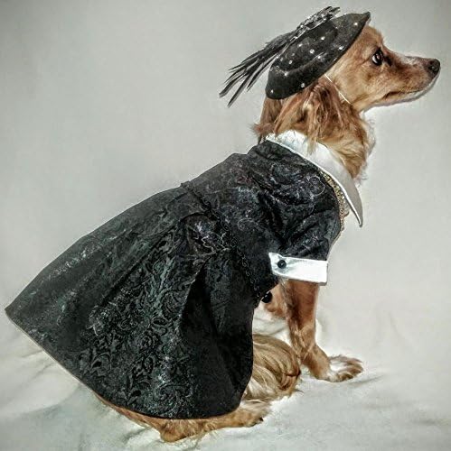 Ooh La La Dog Dress Custom Design