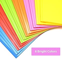 MAKHISTORY Heavy Duty Plastic Folders with Pockets