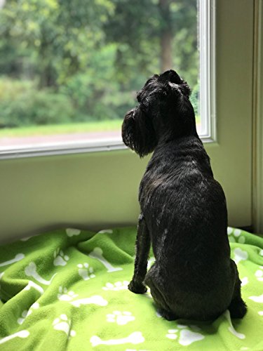 image for Firefly Collection Fleece Pet Blanket/Throw, Oversized and Super Plush