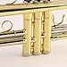 Legacy TR750 Intermediate Trumpet w/ Deluxe Convertible Case