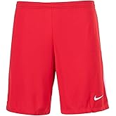 Nike Mens DRIFIT Classic II Shorts Red L