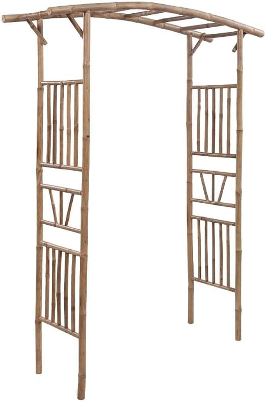 vidaXL Arco de Rosas y Trepadoras de Bambú 145x40x187 cm Puerta ...