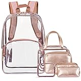 NiceEbag 6 in 1 Clear Backpack with Cosmetic Bag & Case, Clear Transparent PVC School Backpack Outdoor Bookbag Portable Travel Toiletry Bag Makeup Quart Luggage Organizer (Rose Gold)