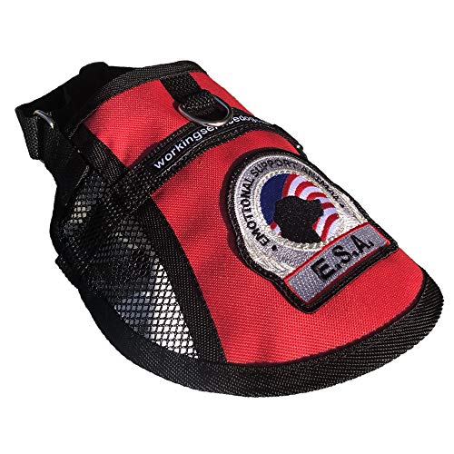 Premium Small Dog Emotional Support Dog ESA Mesh Vest (19" 22" Girth
