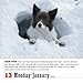 365 Dogs 2014 Page-A-Day Calendar