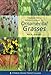 Pocket Guide to Ornamental Grasses (Timber Press Pocket Guides) by Rick Darke