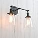 Permo Double Sconce Vintage Industrial Antique 2-Lights Wall Sconces with Oval Cone Clear Glass Shade (Black)