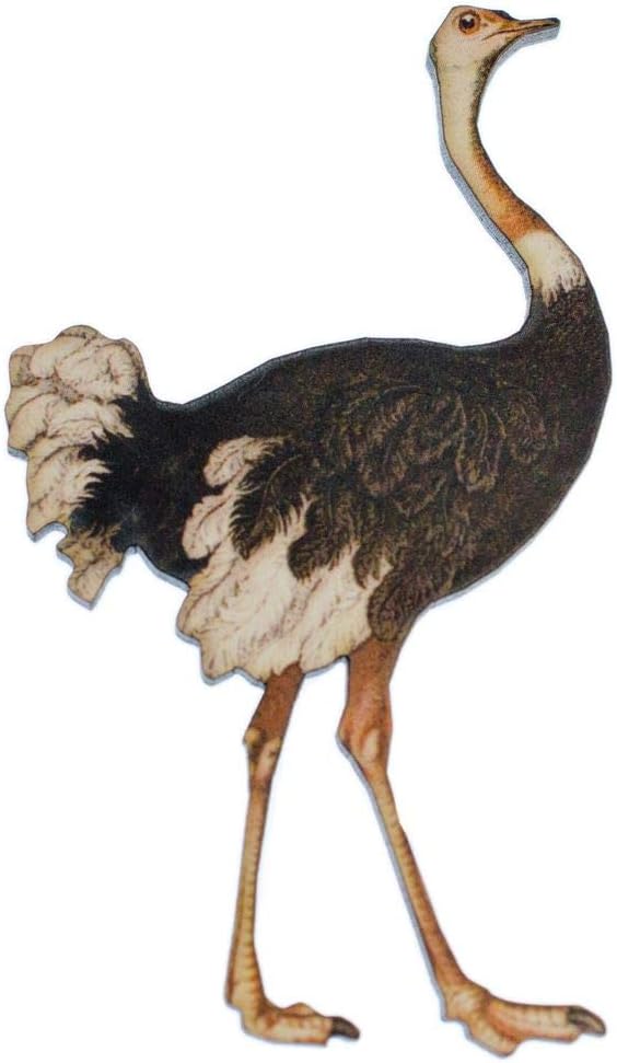 Miniblings Ostrich Printed Wood Laser Cut Brooch Pin Wooden Animal Australia Bird