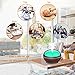Aromatherapy Diffusers for Essential Oils, 2 Pack Essential Oil Diffuser Cool Mist Humidifiers, 300ml Wood Grain Oil Diffuser with 4 Timer Setting, 7 Color Light for Baby Bedroom Home Office Yoga Spa