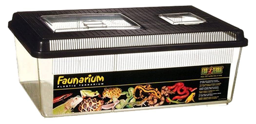 Buy Exo Terra Faunarium Flat Home Large Online At Low Prices In India Amazon In