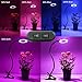 Led Grow Light 10 W Desk Lamp Clip for Indoor Plant & Hydroponics – BOOCOSA