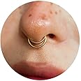 NONTAI 16G Septum Ring Hinged Septum Clicker Nose Ring Septum Piercing Jewelry