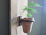 Pennington 2 Pcs Set Décor Wall Mounted Pot Ring Planter, Heavy Rim, Easy To Install (7.5 inch (2 pcs set))