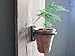 Pennington 2 Pcs Set Décor Wall Mounted Pot Ring Planter, Heavy Rim, Easy To Install (7.5 inch (2 pcs set))