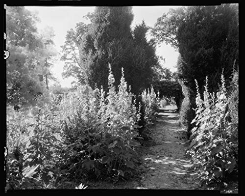 8 x 10 Reprinted Photo of Southern Architectural Bremo Recess, Fork Union vic, Fluvanna County, Virginia 1939 Johnston Frances Benjamin 77a