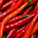 Cayenne Red Long Pepper â–º Organic Non-GMO Cayenne Pepper Seeds (100+ Pepper Seeds)â—„ by PowerGrow Systems