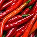Cayenne Red Long Pepper ► Organic Non-GMO Cayenne Pepper Seeds (100+ Pepper Seeds)◄ by PowerGrow Systems primary