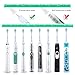 Replacement Toothbrush Heads for Philips Sonicare 2 Series Plaque Control, HX6211, fit ProtectiveClean, DiamondClean, Gum Health, HealthyWhite, HX9028 Brush Head by DeBizz