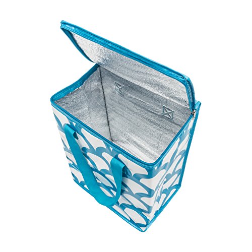 E Reusable Cooler Bags Colorful Collapsible Insulated Zippered