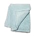Chanasya Super Soft Warm Elegant Cozy and Decorative Velvet Fleece Aqua Blue Microfiber Throw Blanket (50
