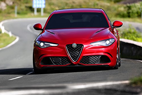 GMG Motorsports NO Holes License Plate Bracket Kit for The Alfa Romeo 4C Models No Drill Tow Hook License Plate Mount