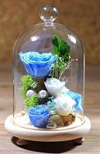 HPPFOTRS Handmade Preserved Rose Never Withered Roses Flower in Glass Dome, Gift for Valentine's Day Anniversary Birthday (Color: Blue)