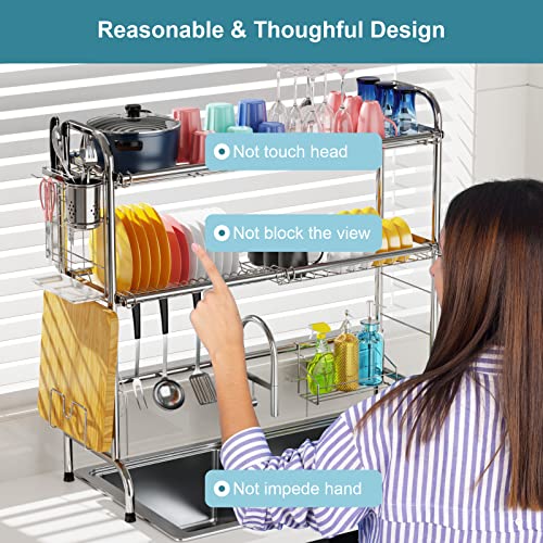GSlife Over The Sink Dish Drying Rack, 2 Tier Stainless Steel Above