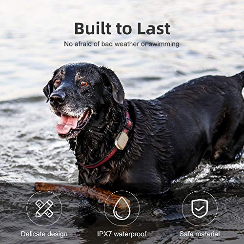 G1 GPS Pet Tracker, NBIOT(5G) Dog Locator & Activity Monitor