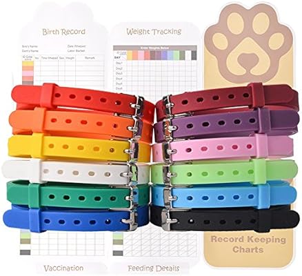 puppy identity collars