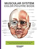 Muscular System Color Picture Book: Guide For The Muscular System by Pamphlet Books