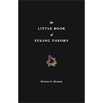 The Little Book of String Theory: Gubser, Steven S.: 9780691142890