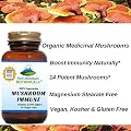 Mushroom Immune. 90 Kosher Capsules With 14 Powerful Mycelium Including Certified Organic Maitake - Reishi - Turkey Tail - Chaga - Cordyceps - Shiitake - Lions Mane