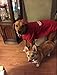 BINGPET Security Dog Hoodies Puppy Sweater Cold Weather Dog Coats Soft Brushed Fleece Pet Clothes Hooded Sweatshirt for Dog Cat