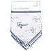 Aden by Aden + Anais Bandana Bib, 100% Cotton Muslin, Soft Absorbent 3 Layers, Adjustable, 8.5” X 16”, 2 Pack, Sky High