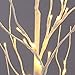 Excelvan Safe 48 LEDs 1.2M/4FT Silver Warm White Xmas Led Birch Twig Lighted Branches Tree for Home Bedroom Patio Garden Gate Yard Party Wedding Christmas Inside Outdoor Decoration